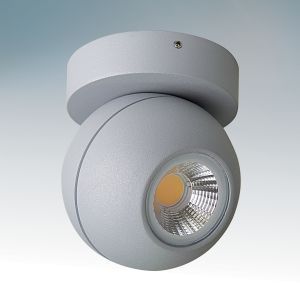 Накладной светодиодный светильник влагозащищенный GLOBO LED 8W 3000K IP54 серый 051009 ― ТРИ ПЛАФОНА