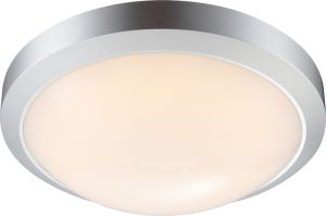 Светильник потолочный светодиодный уличный JOHN серебристый 12W 1*LED 38,4V IP65 32107  ― ТРИ ПЛАФОНА