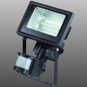 Прожектор светодиодный уличный с датчиком движения Armin LED 357192 ― ТРИ ПЛАФОНА