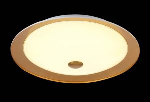 Потолочный светильник светодиодный Euler золото LED 24W 220V арт. CL815-PT50-G ― ТРИ ПЛАФОНА